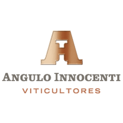 Angulo Innocenti Viticultores