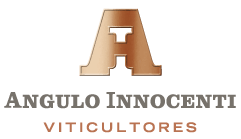 Angulo Innocenti Viticultores