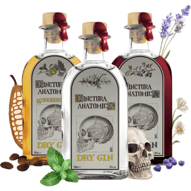 Gin von Tinctura Anatomica