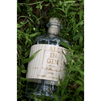 ALL IN GIN - Schwarzwald Dry Gin Beauty Shot
