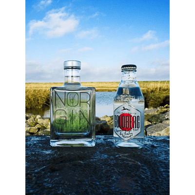 NORGIN Geschenkbox (1x London Dry Gin + 2x Goldberg Japanese Yuzu Tonic Water)