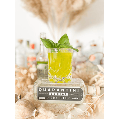 Quarantini Social Dry Gin 3