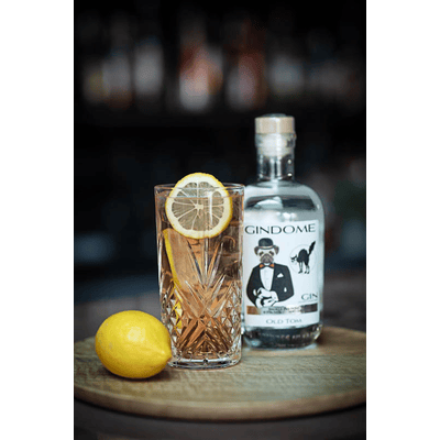 GinDome | Old Tom - Dry Gin