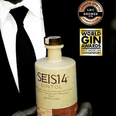 SEIS14 Gintol - Sotol based gin
