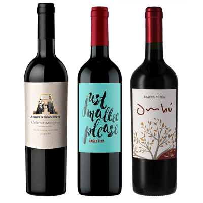 South America Wine Trio - Tasting Package (1x Malbec + 1x Cabernet Sauvignon + 1x Tannat)