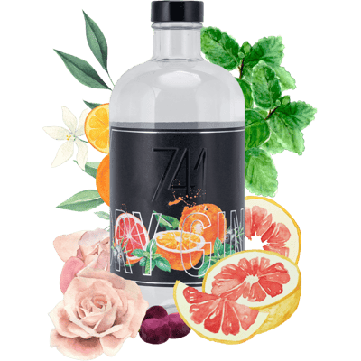 741 – Heilbronner Dry Gin
