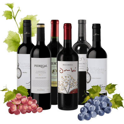 South America red wine tasting package (2x Malbec + 2x Cabernet Sauvignon + 1x Tannat + 1x Cuvée)