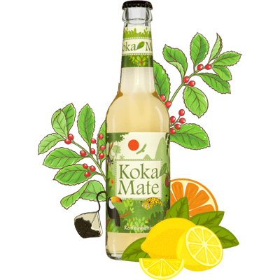 Koka Mate - Organic soft drink with coca plant extract - 18 pack
