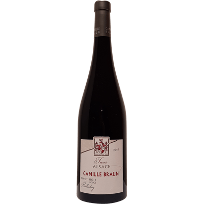 Pinot Noir Bollenberg 2018 - RotweinPinot Noir Bollenberg 2018 - Rotwein