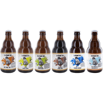 Craft Beer Probierset Mix Sechserpack (1x Lager + 1x Rye Pale Ale + 1x Hefeweizen + 1x IPA + 2x Brown Ale)