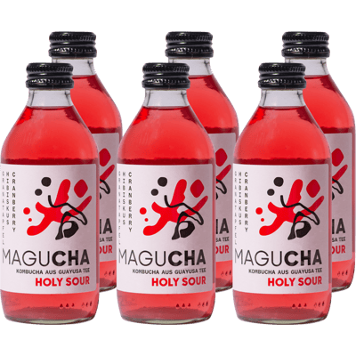 6x Magucha Holy Sour - Bio-Kombucha Set