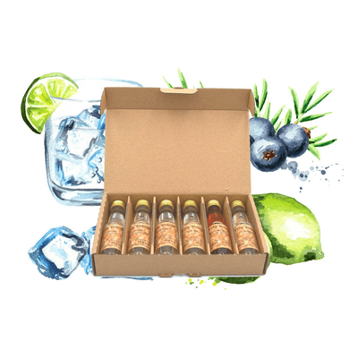 Vita Dulcis Gin Tasting Box: Deutschland (6x Gin Minis)
