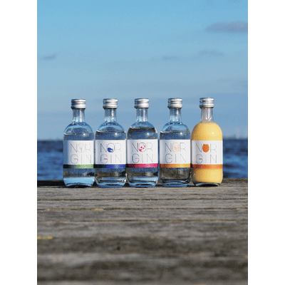 NORGIN Tasting Box (1x London Dry Gin + 1x Cherry & Mint Gin + 1x Orange & Almond Gin + 1x Salty Gin + 1x Egg Liqueur)