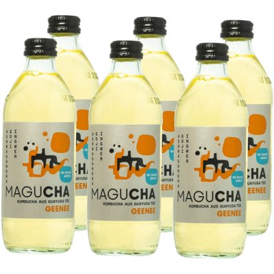 6x Magucha Geenee - Organic Kombucha Set