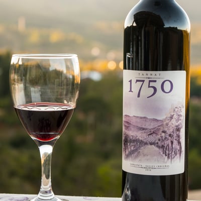 Vinos 1750 Tannat - Red wine