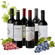 Südamerika Rotwein Probierpaket (2x Malbec + 2x Cabernet Sauvignon + 1x Tannat + 1x Cuvée)