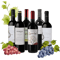 Südamerika Rotwein Probierpaket (2x Malbec + 2x Cabernet Sauvignon + 1x Tannat + 1x Cuvée)