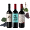 Südamerika Wein Trio - Probierpaket (1x Malbec + 1x Cabernet Sauvignon + 1x Tannat)