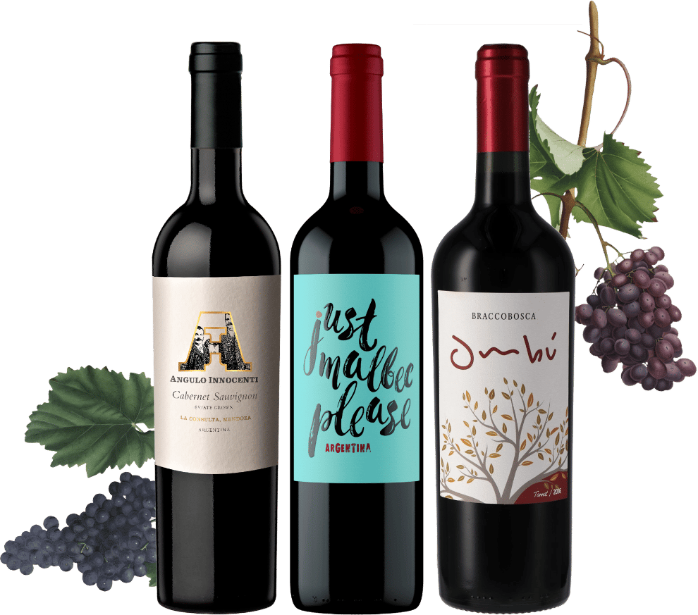 Südamerika Wein Trio Probierpaket kaufen | Honest & Rare