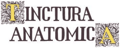 Tinctura Anatomica