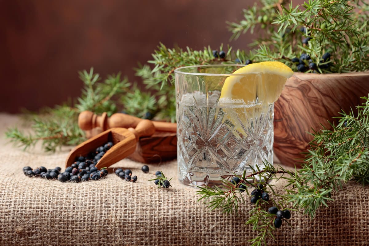 Gin Tonic Rezept - Varianten mit Zitrone, Gewürzen, Gurke