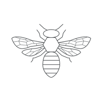 Nordic Honey