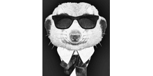 Spicy Suricate Gin