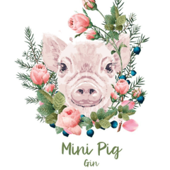 Mini Pig