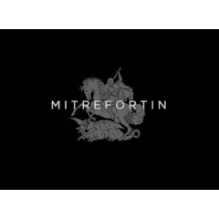 Mitre Fortin Srl