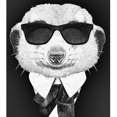 Spicy Suricate Gin