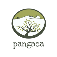 Pangaea