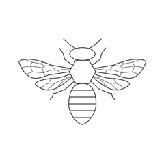 Nordic Honey