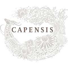 Capensis