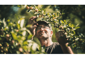 Vom Baum bis in die Flasche - Feiner Kappler im Portrait