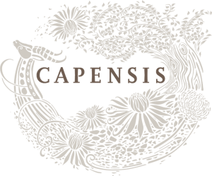 Capensis