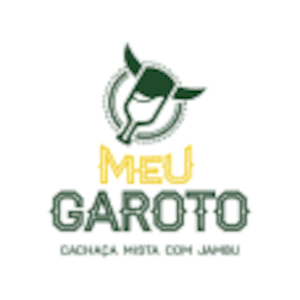 Meu Garoto