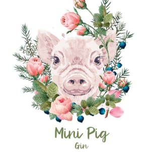 Mini Pig