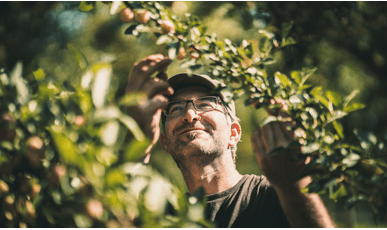Vom Baum bis in die Flasche - Feiner Kappler im Portrait