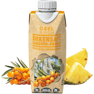 ÖselBirch Probierkiste Mix - 6x 0,33 l 3