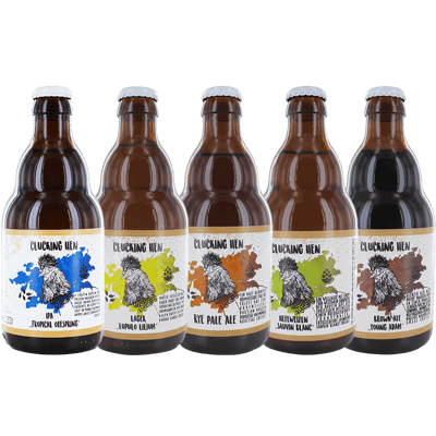 Craft Beer 24er Mixkarton (5x Lager + 5x Rye Pale Ale + 5x Hefeweizen + 5x IPA + 4x Brown Ale)