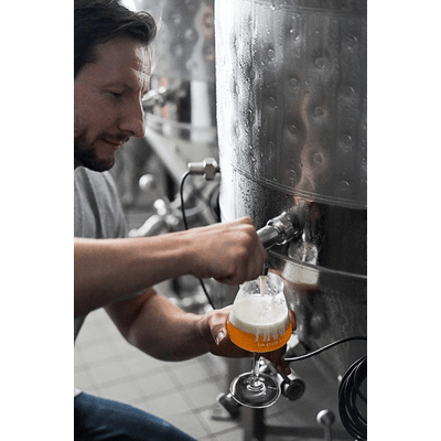 12 x Finne Organic IPA