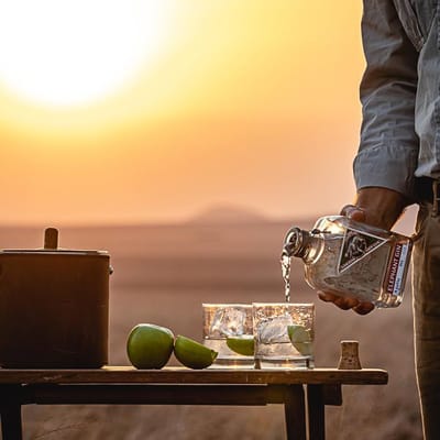 Elephant London Dry Gin