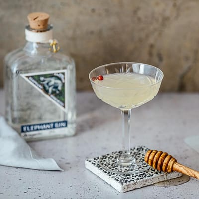 Elephant Strength Gin - Navy Strength