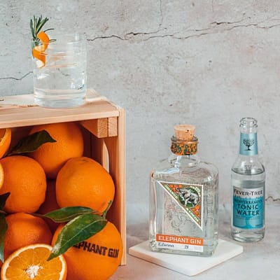 Elephant Orange Cocoa Gin