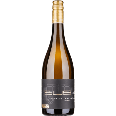 2020 Sauvignon Blanc "Fume" trocken