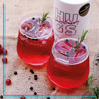 HUGS Cranberry Gin Likör