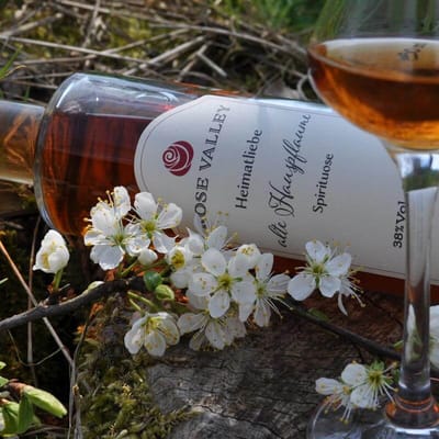 Rose Valley Heimatliebe "Old House Plum" - Spirit