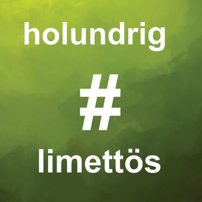 6x stadtgetränk Holunderblüte Limette - Limonade
