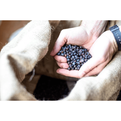 Dorma Gin London Dry Gin