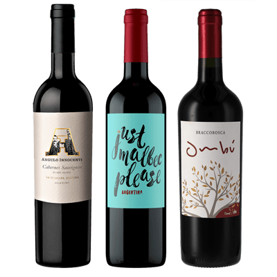 Südamerika Wein Trio - Probierpaket (1x Malbec + 1x Cabernet Sauvignon + 1x Tannat)